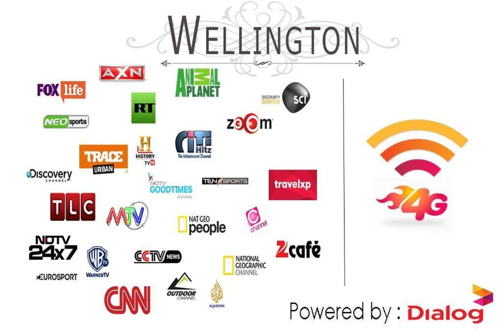 הוילה היקדואה Wellington מראה חיצוני תמונה